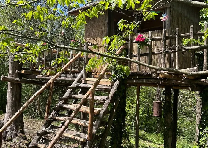 La Casa Degli Elfi